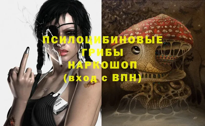 Галлюциногенные грибы Magic Shrooms  где найти наркотики  гидра tor  Бугуруслан 